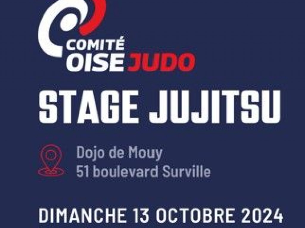 Image de l'actu '1er stage Jujitsu 13 octobre'