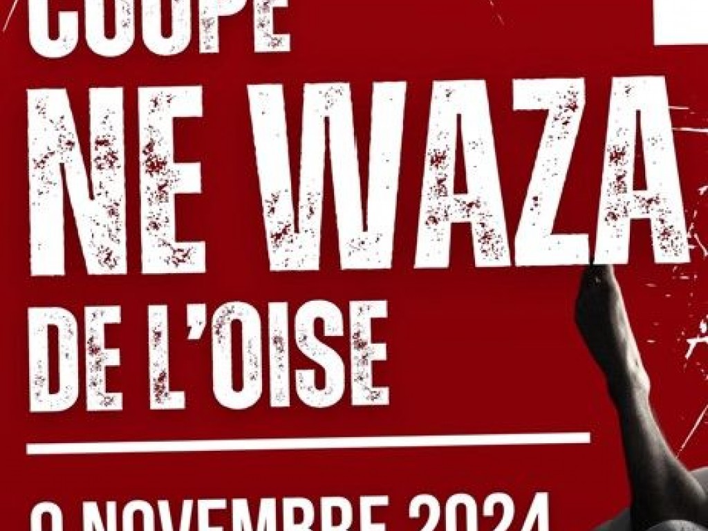 Image de l'actu 'Coupe de l'Oise Ne-Waza'